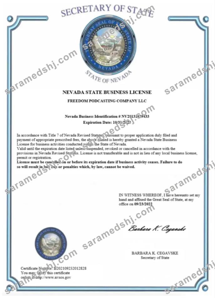 USA Nevada State certificate of business license Word and PDF template